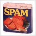 spam